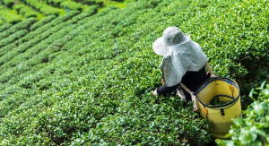 台灣世華台文教產業發展協會