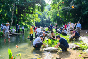 自然工法來修復溪流–雙溪熱帶樹木園