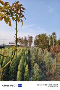 討論氣，語言與氣象，能帶來天地人一氣，反觀來時路裏的生活哲學